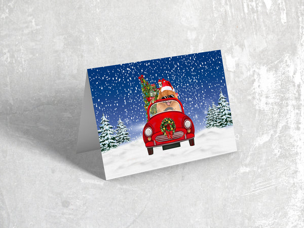 Pomeranian Driving Christmas Cards | Let It Snow Holiday Greeting Cards